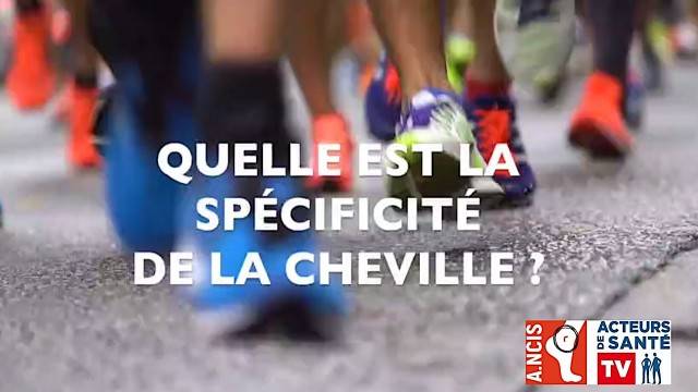 Quelle spécificité de la cheville ?